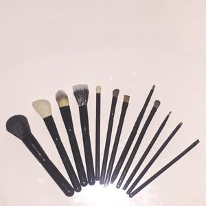 12 Piece Brush Set with hard case holder